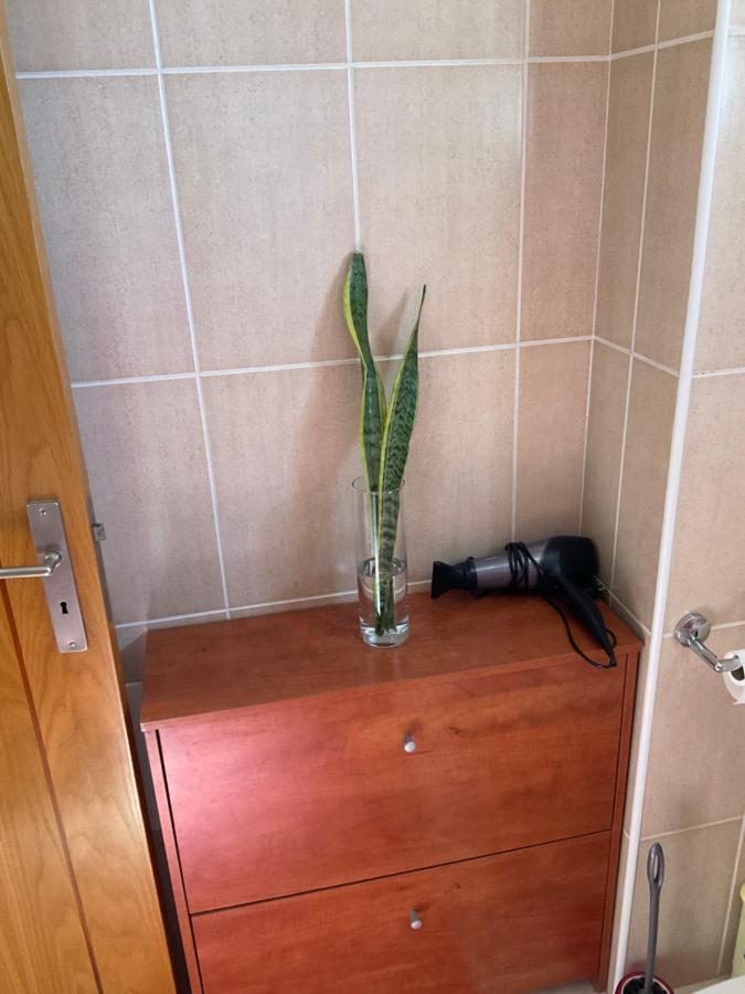 קאניקו Moniz Apartment מראה חיצוני תמונה